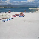 Mravak Daire Trogir