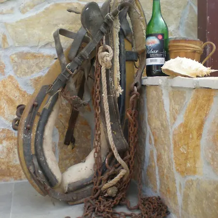 Appartement Mravak *