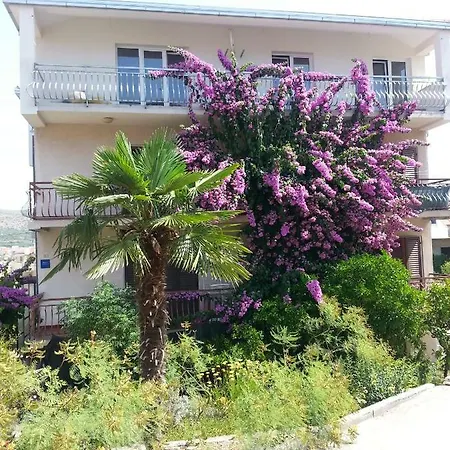 Mravak