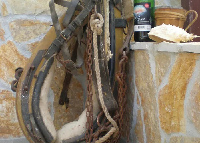 Apartamento Mravak *