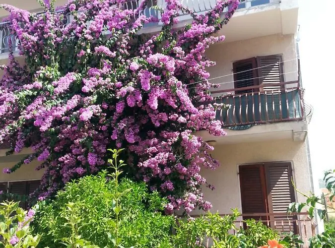 Mravak Apartamento Trogir