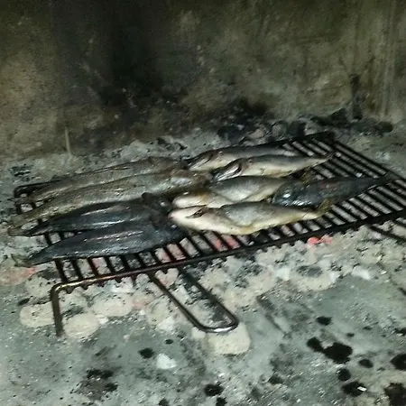 Mravak * تروغير