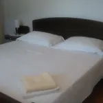 Apartment Mravak *