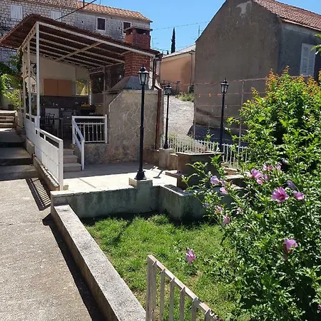 Mravak Traù