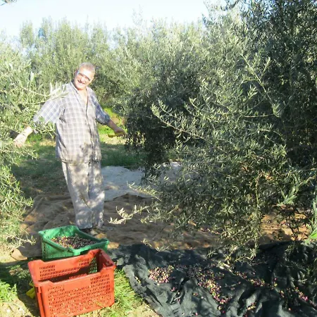 Mravak Appartamento *